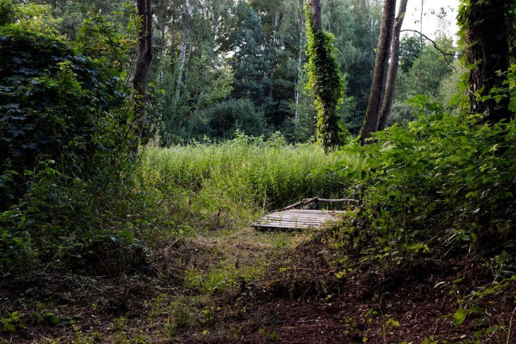 Okno Na Las Wola Polska Exterior foto